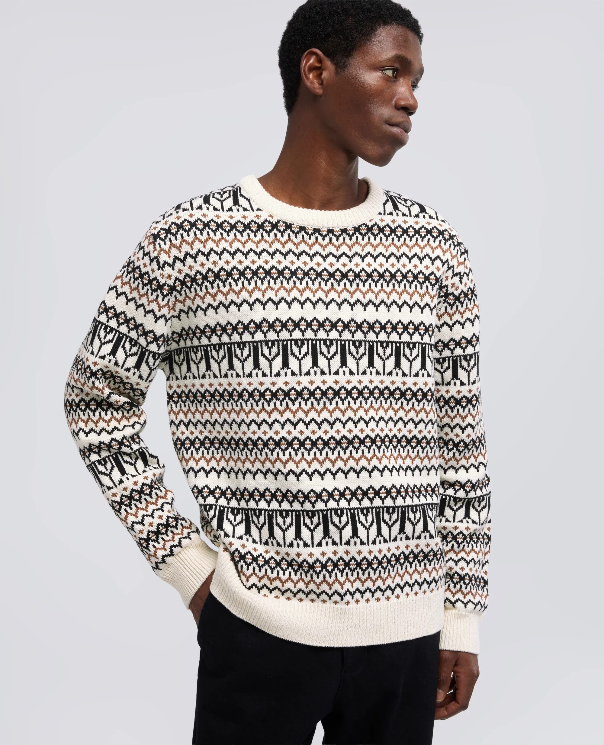MAGLIA GIROCOLLO A MANICHE LUNGHE IN MISTO COTONE - FONDO NATURALE - Image 4