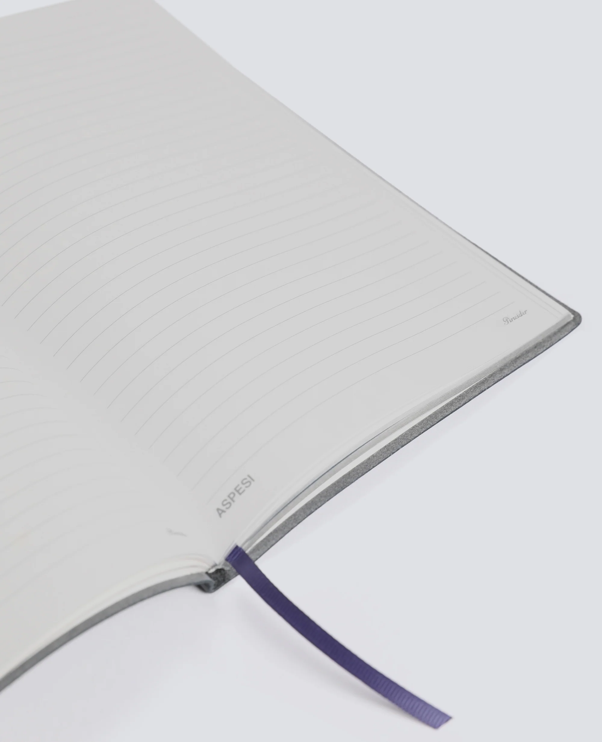 NOTEBOOK "NOT THIS YEAR" PINEIDER 1774 X ASPESI - BLU - Image 3