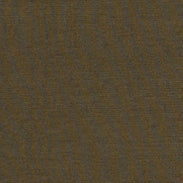 T-SHIRT IN COTONE - MILITARE - Image 5